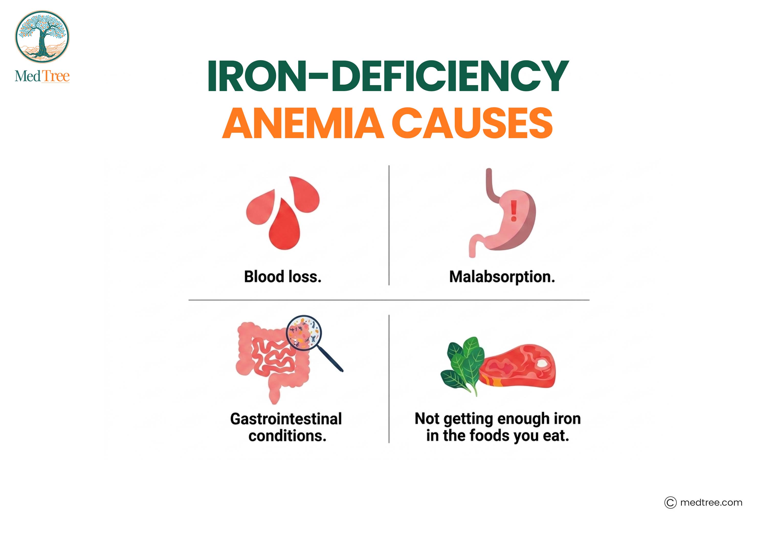 iron deficiency anemia causes 