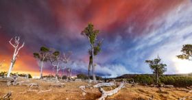 RACGP Urges Stronger Climate Action to Protect Australians’ Health