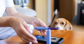 GPs encouraged to report possible GLP-1 medicine side effects
