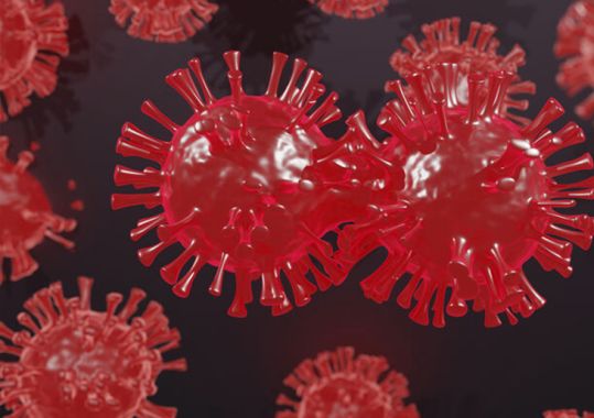 New strain emerges from world’s longest case of COVID-19