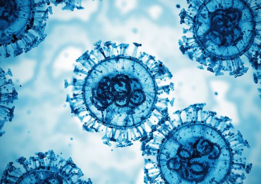 What do I need to know about the new FLiRT variants?