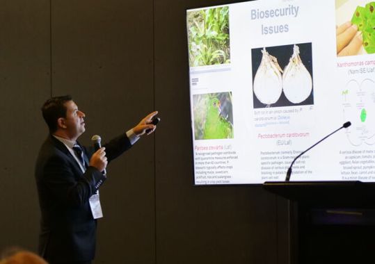 ‘Mobile petri dishes’: What bugs are lurking on GPs’ phones?