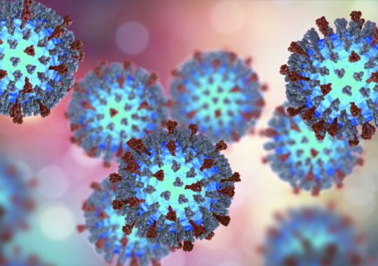 Public health alert: Measles outbreak