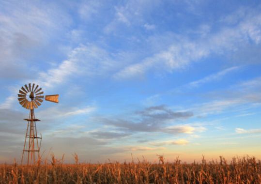 Rural health snapshot reveals ‘shameful failure’