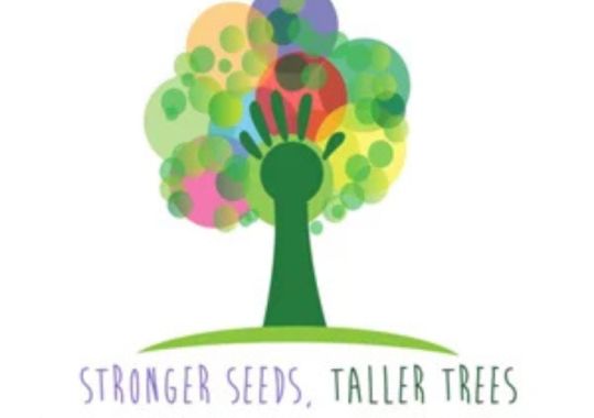 Gender diverse and trans(gender) children: how can a GP support families and affirm children?