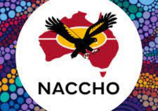 NACCHO Media Release: NACCHO announces 2025 Aboriginal and Torres Strait Islander Pharmacist Scholarship recipients