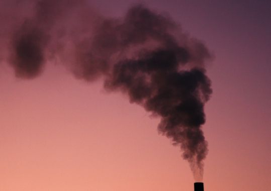 Alarming Health Toll from Wood Heater Smoke