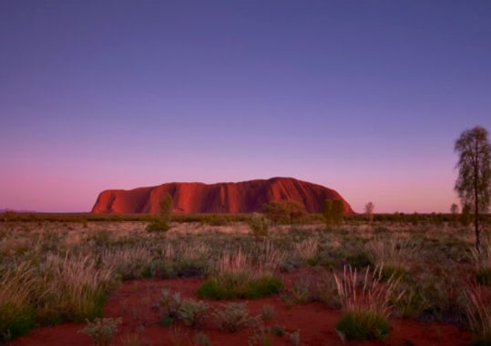 RACGP reaffirms Uluru Statement commitment