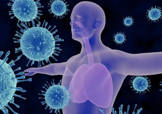 Respiratory Infection Situation Update – Queensland