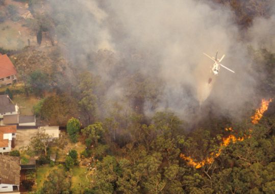 Does your practice have an emergency response plan?