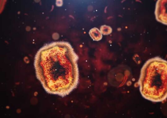 Mpox strain detected for second time in Australian history