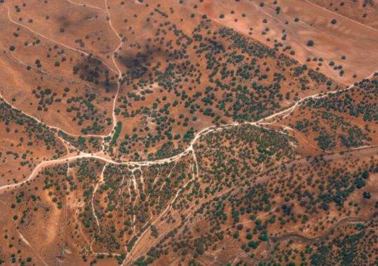 The impact of climate change on the health of Indigenous peoples