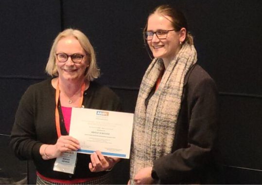 How do GPs identify where the problems are?