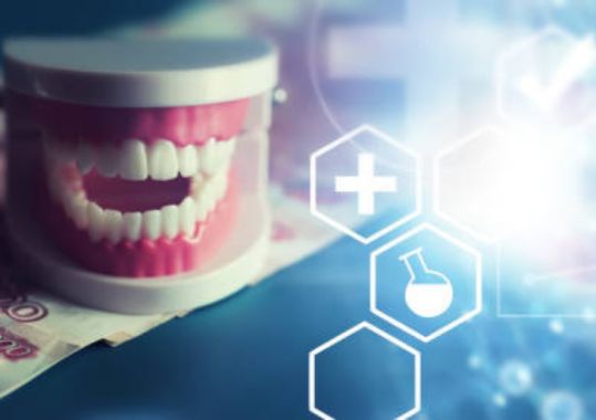 Shaping the Future of Oral Health: National Plan Progress