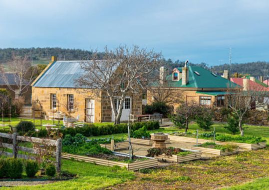 Introducing a public homebirth program in Tasmania