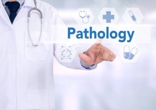 "Pathology results available immediately with one click"