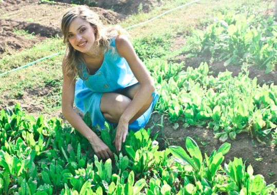 "Calls for improvement in rural miscarriage care amid reports of fragmentation and dismissiveness"