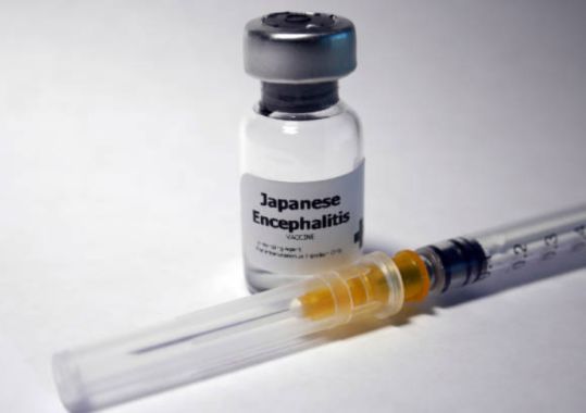 Free Japanese Encephalitis Vaccines for Regional Victorians