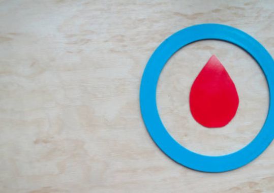 Port Pirie 2025 Blood Lead Levels Report: Mixed Results for Children