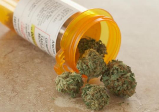 Study Finds Limited Evidence for Medicinal Cannabis in Mental Health