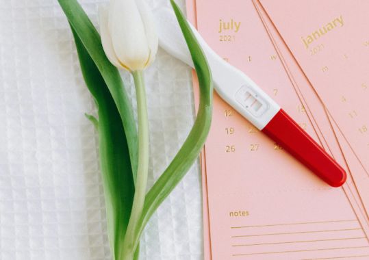 Tasmania introduces IVF rebate to make fertility treatment more affordable