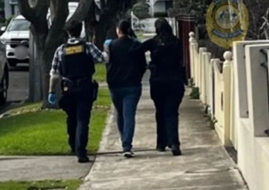 Two Victorians Face Further Charges Over Alleged PIED Imports