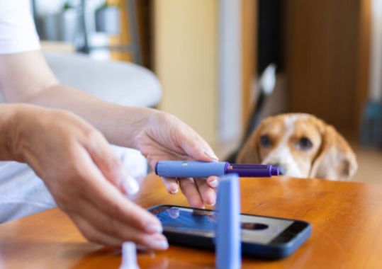 GPs encouraged to report possible GLP-1 medicine side effects