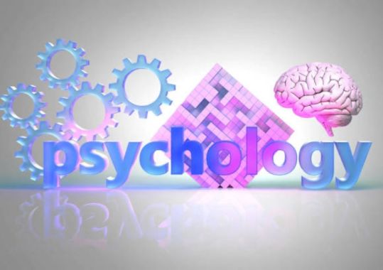 Psychology training reform enters next stage after consultation