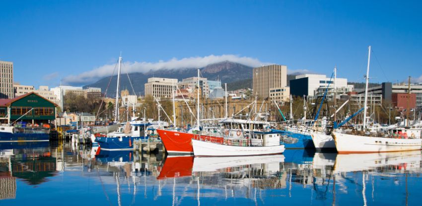 AMA Tasmania in talks with Federal AMA