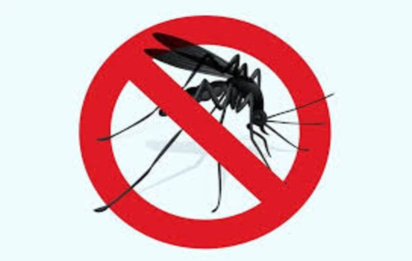 Stay safe from mosquitoes this Easter long weekend