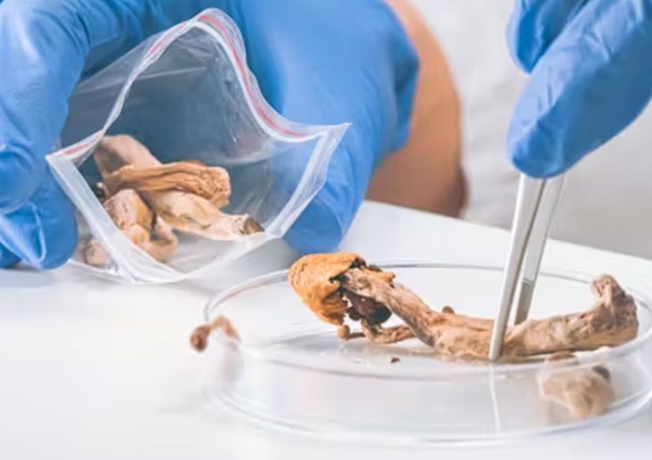 Recommendations made by the Pharmaceutical Benefits Advisory Committee (PBAC) – March 2024