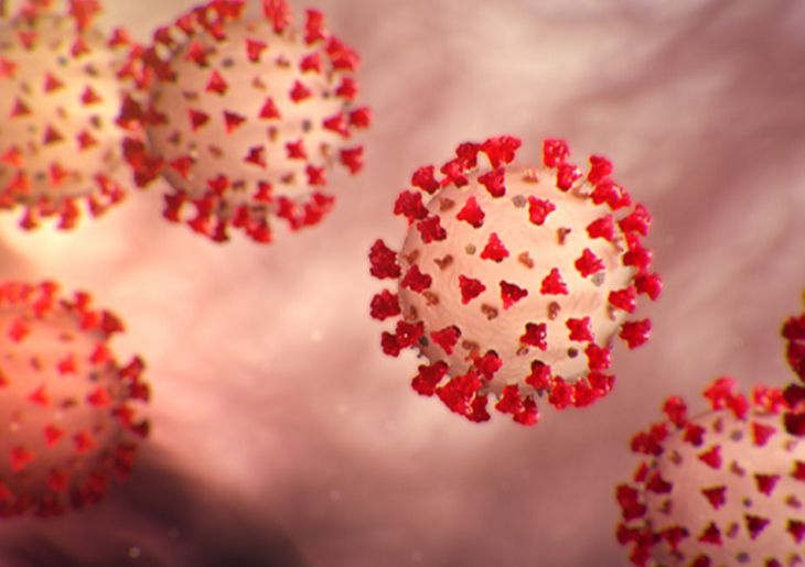 COVID-19 update 24 May 2024