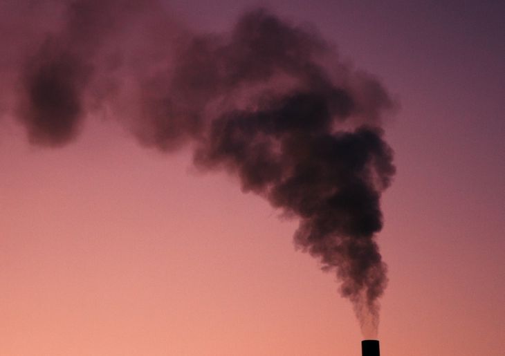 Alarming Health Toll from Wood Heater Smoke