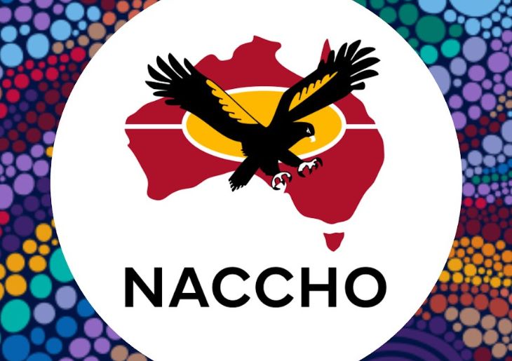 NACCHO Media Release: World Hepatitis Day: Time for Action to Eliminate Hepatitis B and C in Aboriginal and Torres Strait Islander Communities