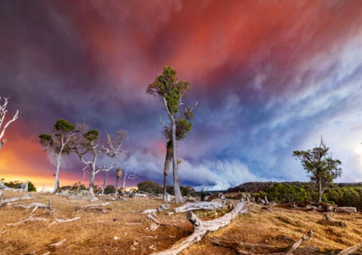 RACGP Urges Stronger Climate Action to Protect Australians’ Health