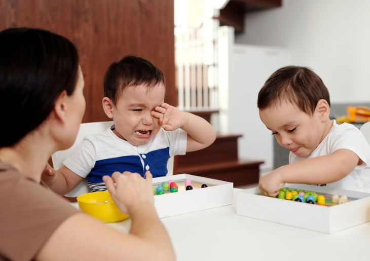 Understanding children’s behaviour through social-emotional development